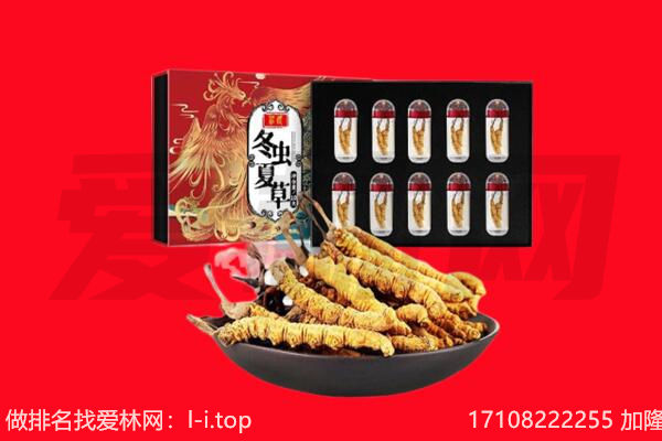 隆昌市回收虫草.jpg